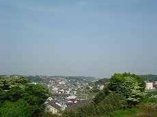 ���΂炵�����]