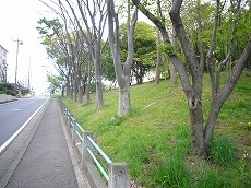 �퐶�䓌����